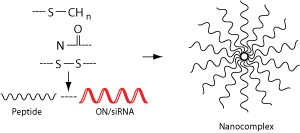 cell penetrating peptide complex