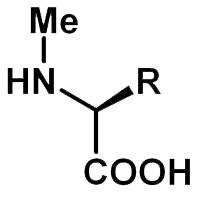 Peptide synthesis: N Methyl modifications