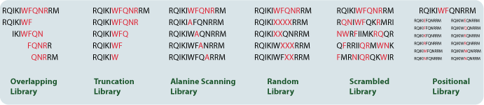 peptide library types