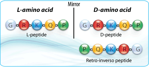 Peptide synthesis: retro inverso peptide